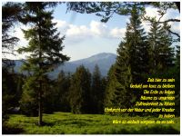 fruehling91 sesselplatz